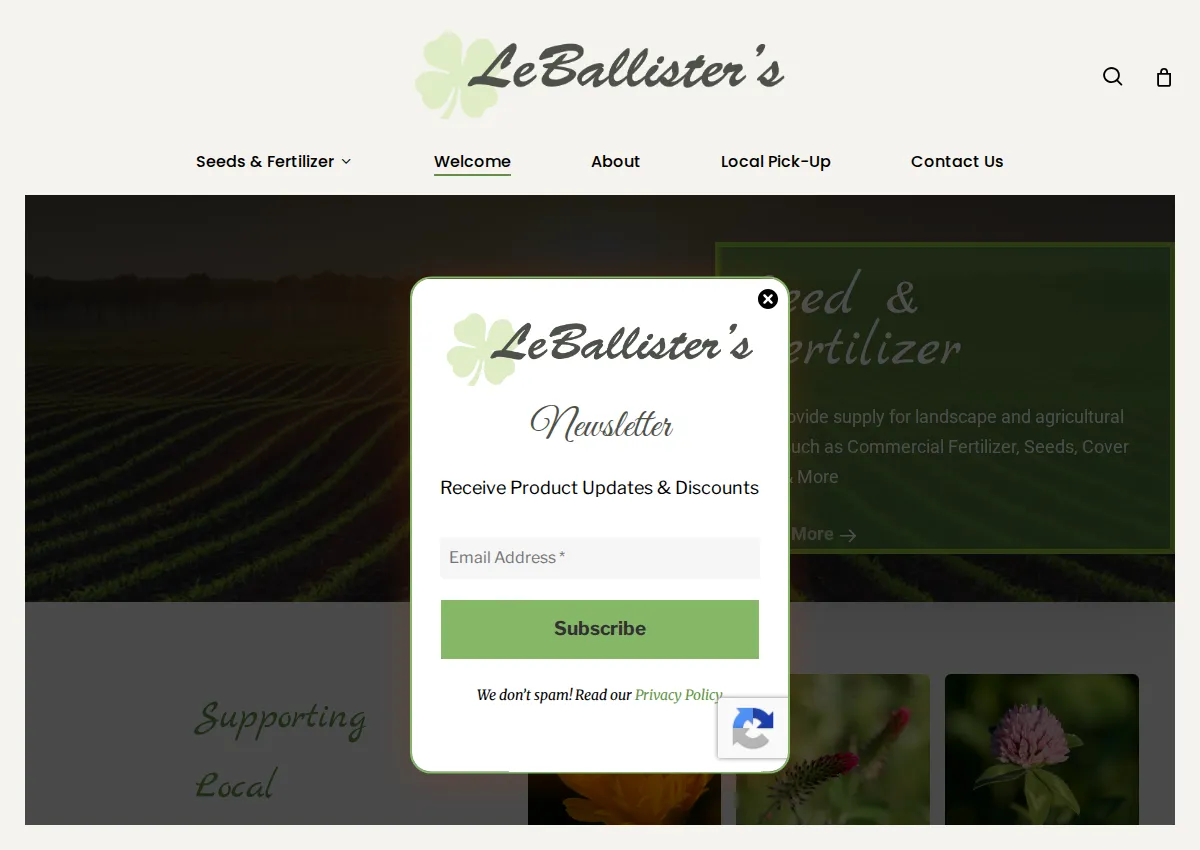 Store homepage