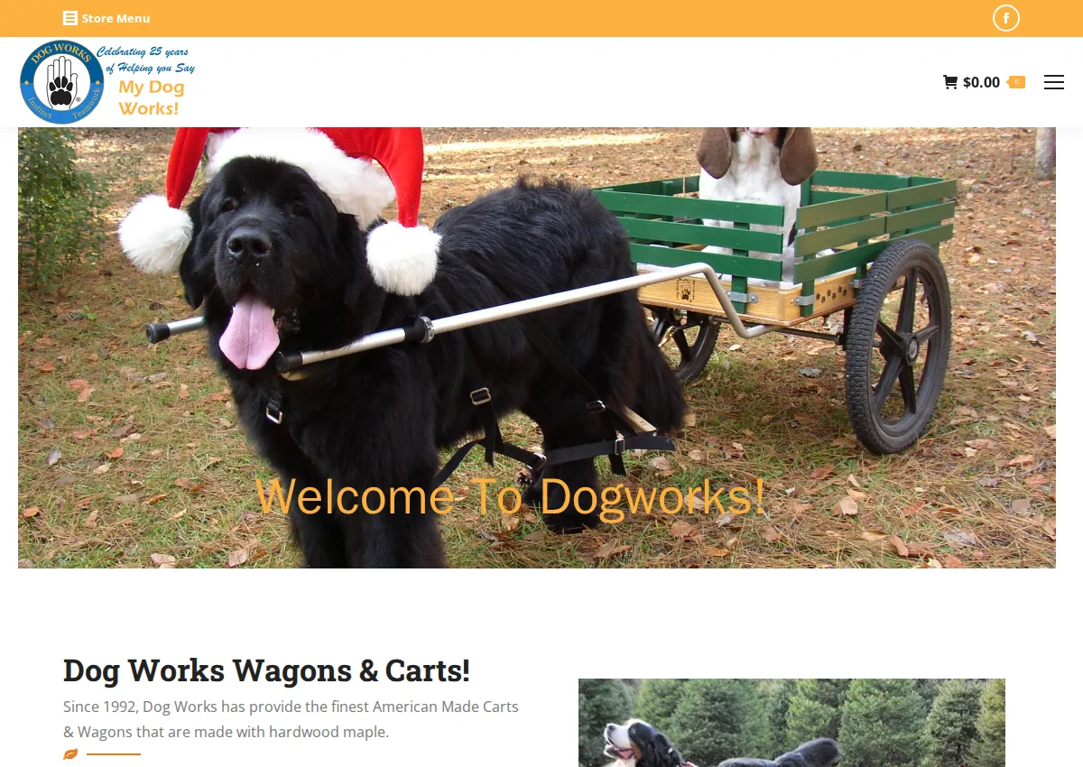 Store homepage