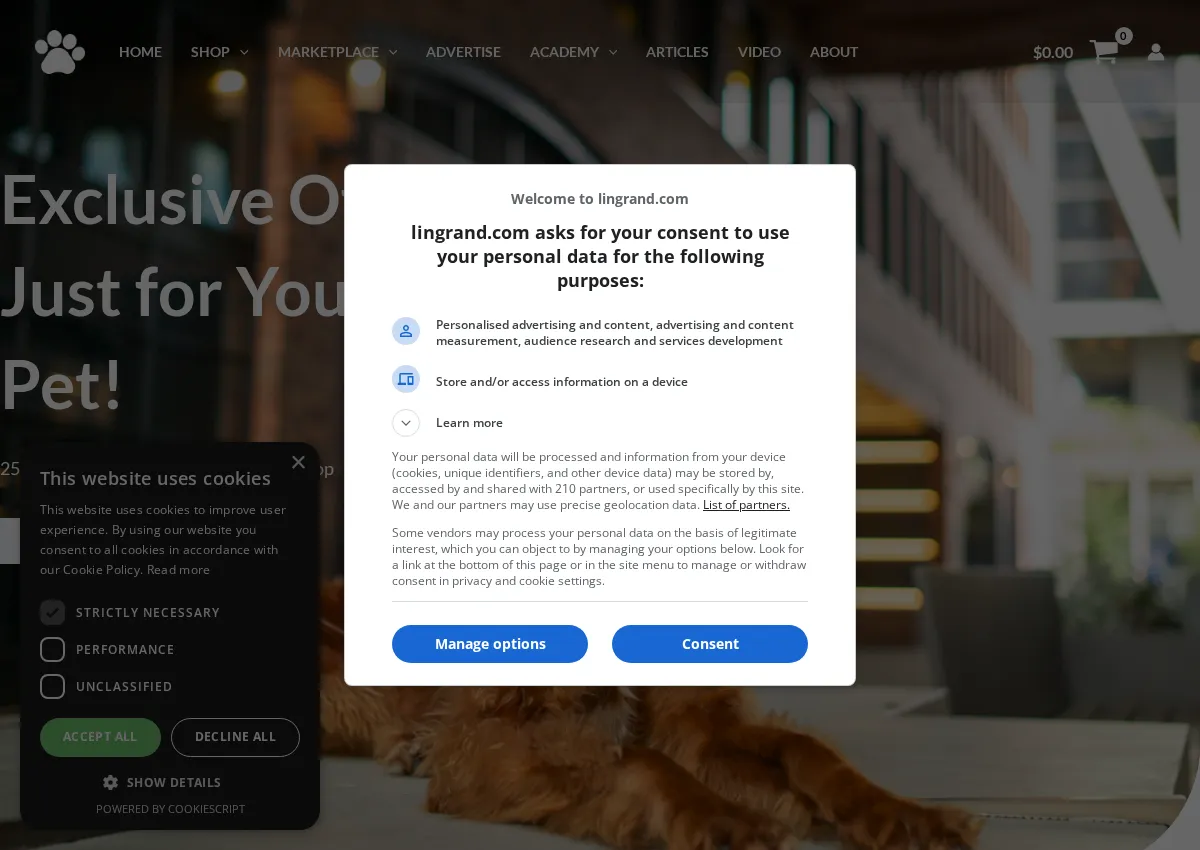 Store homepage