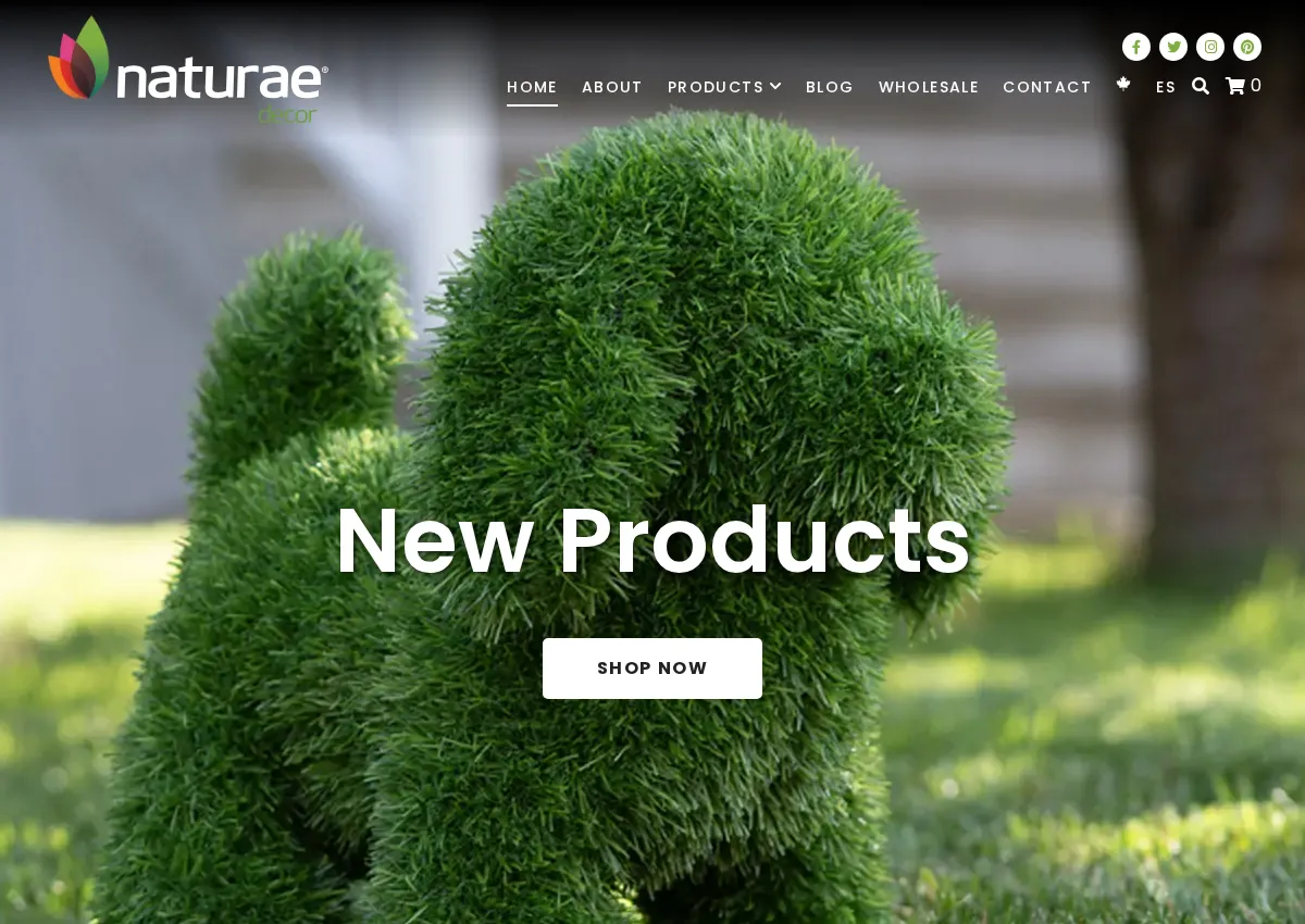 Store homepage