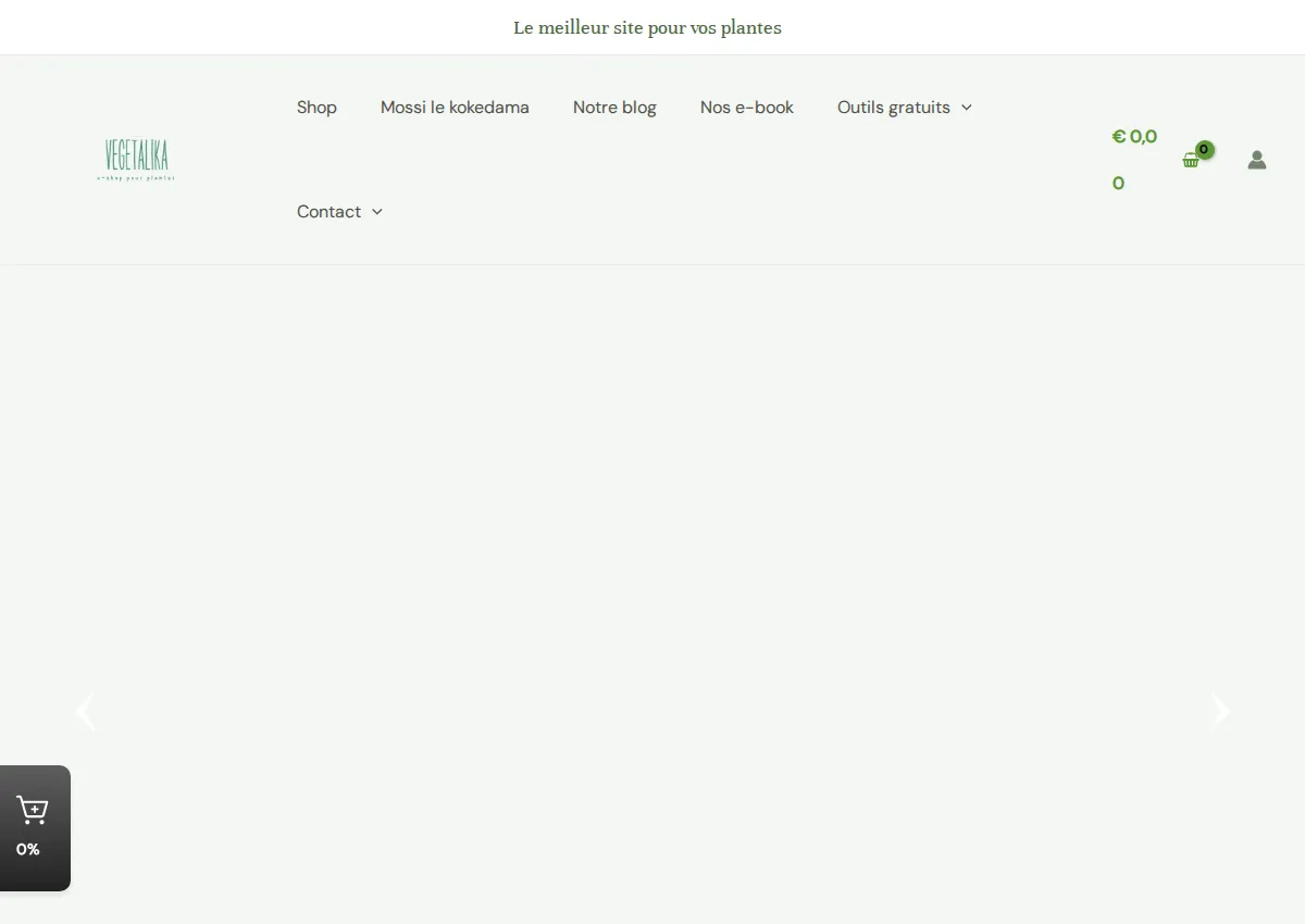 Store homepage