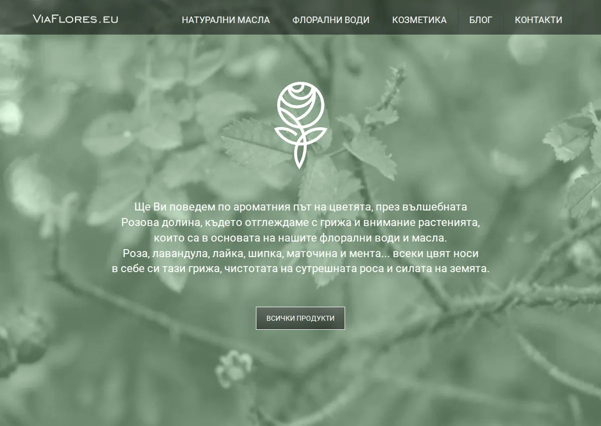 Store homepage