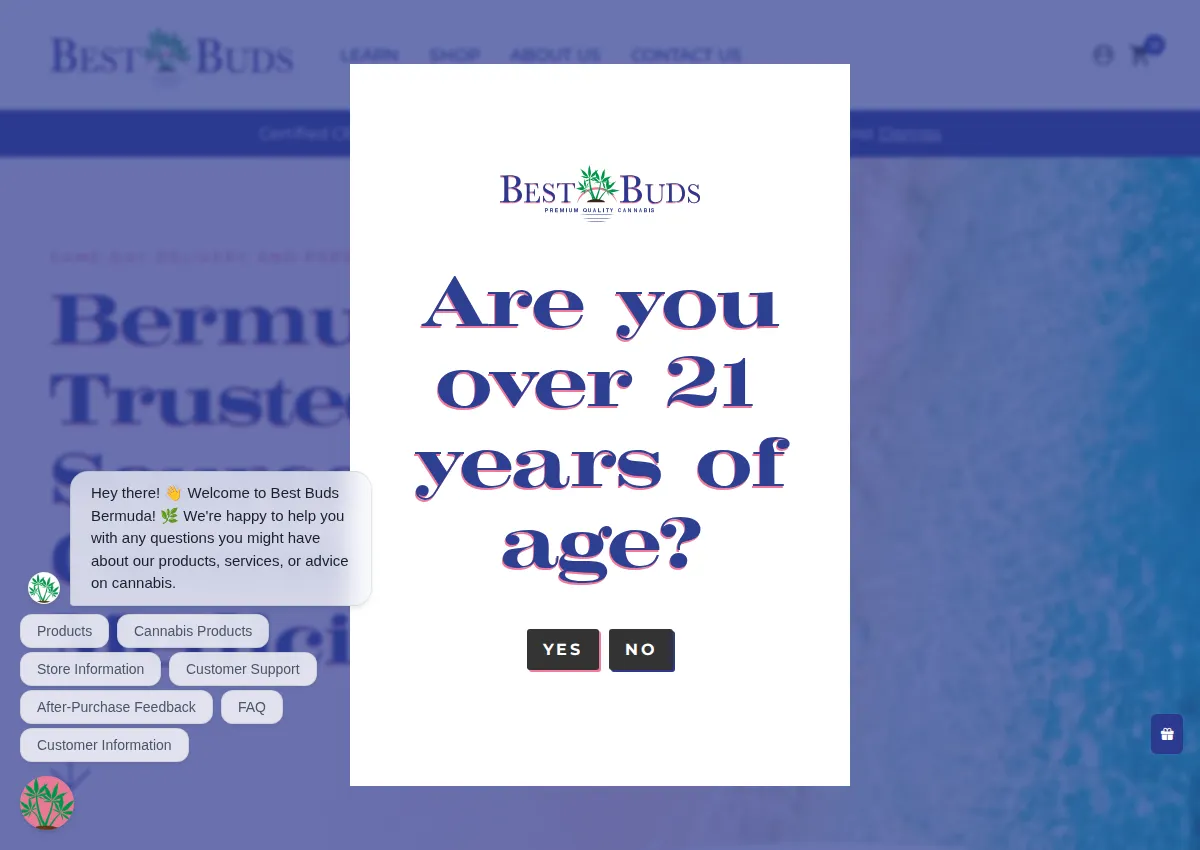 Store homepage