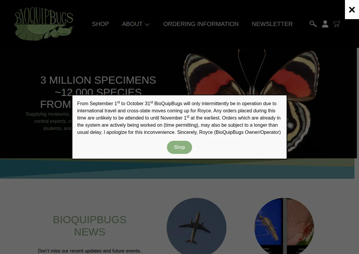 Store homepage