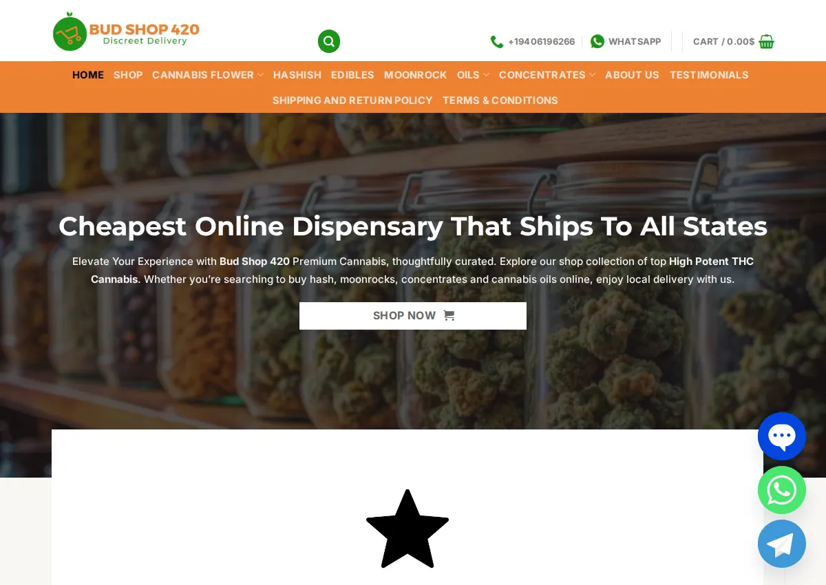 Store homepage