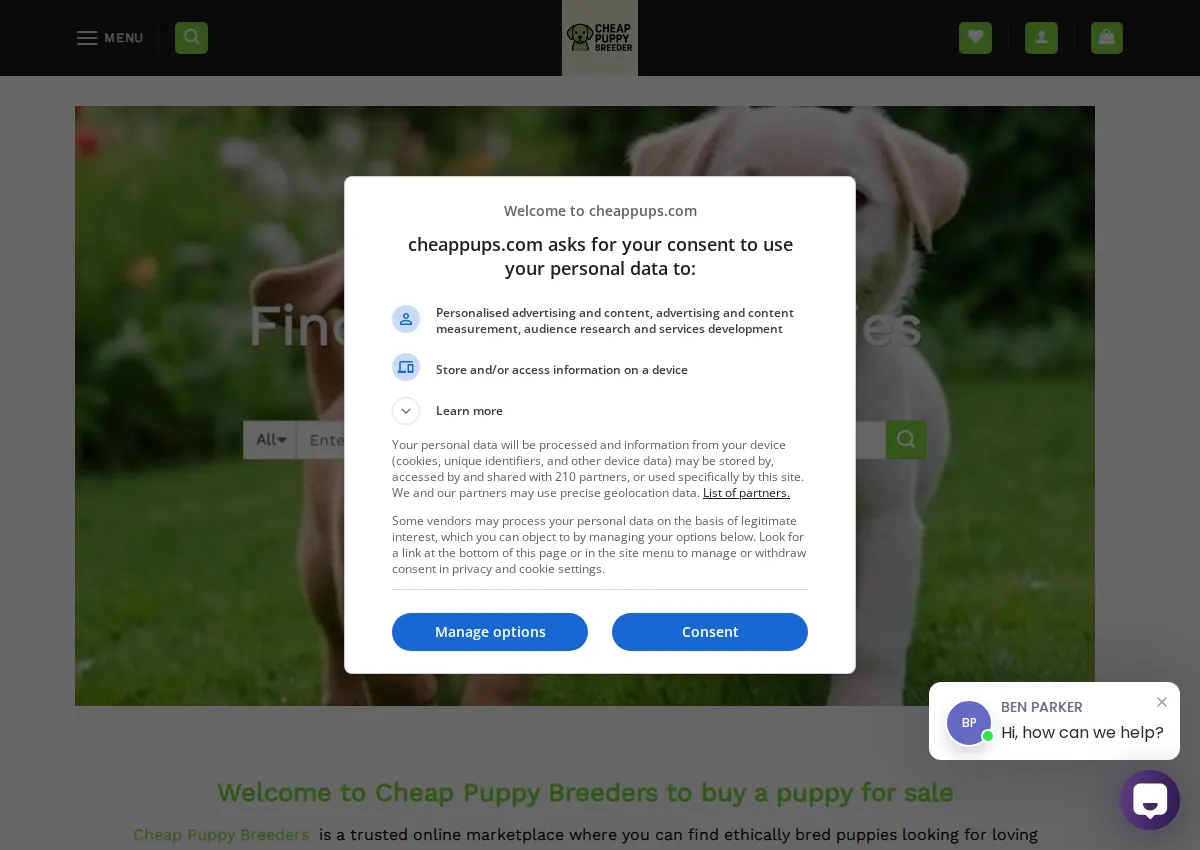 Store homepage