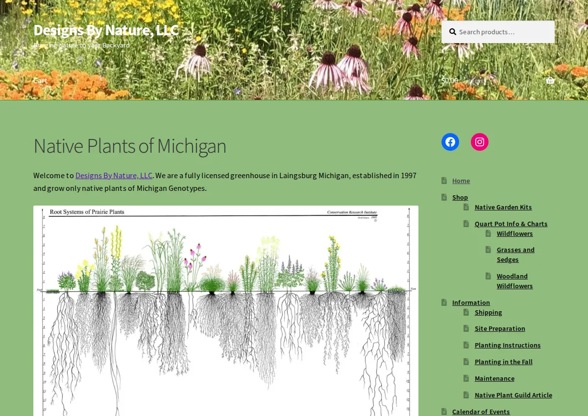 Store homepage