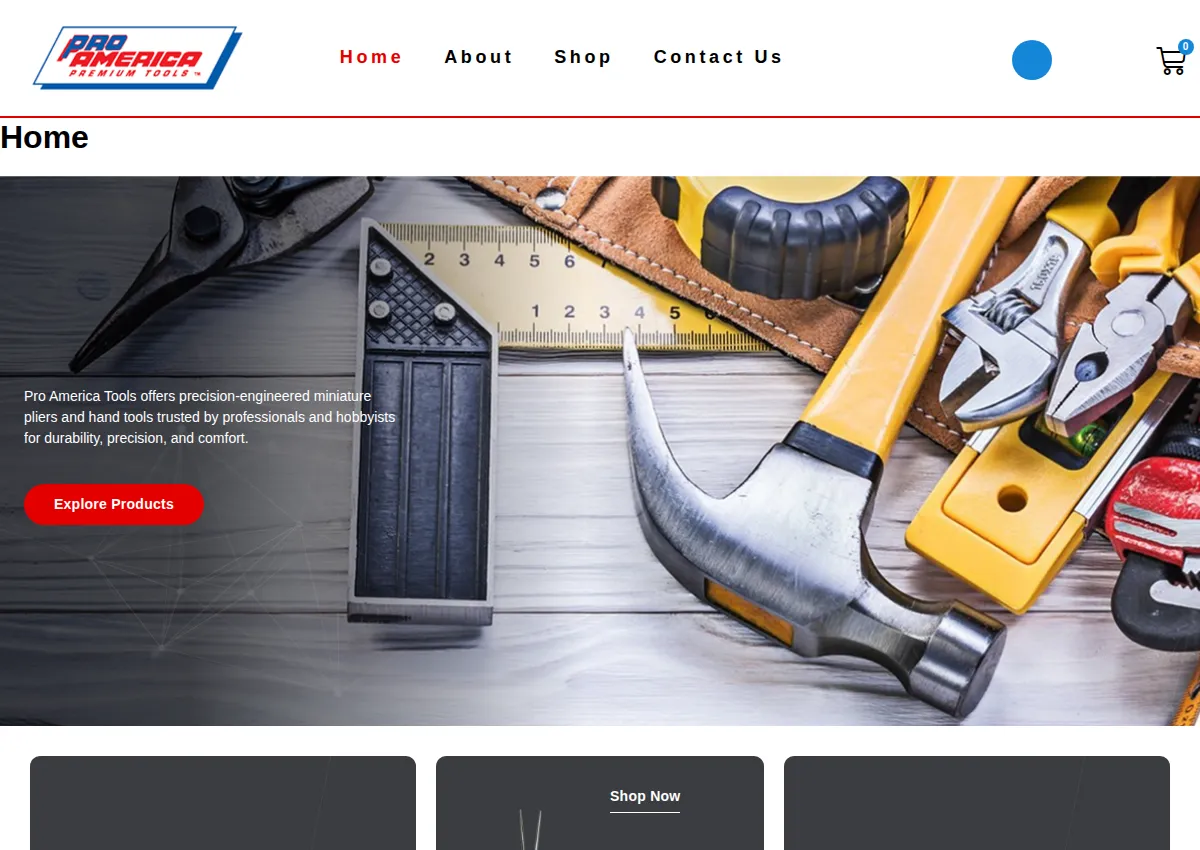 Store homepage