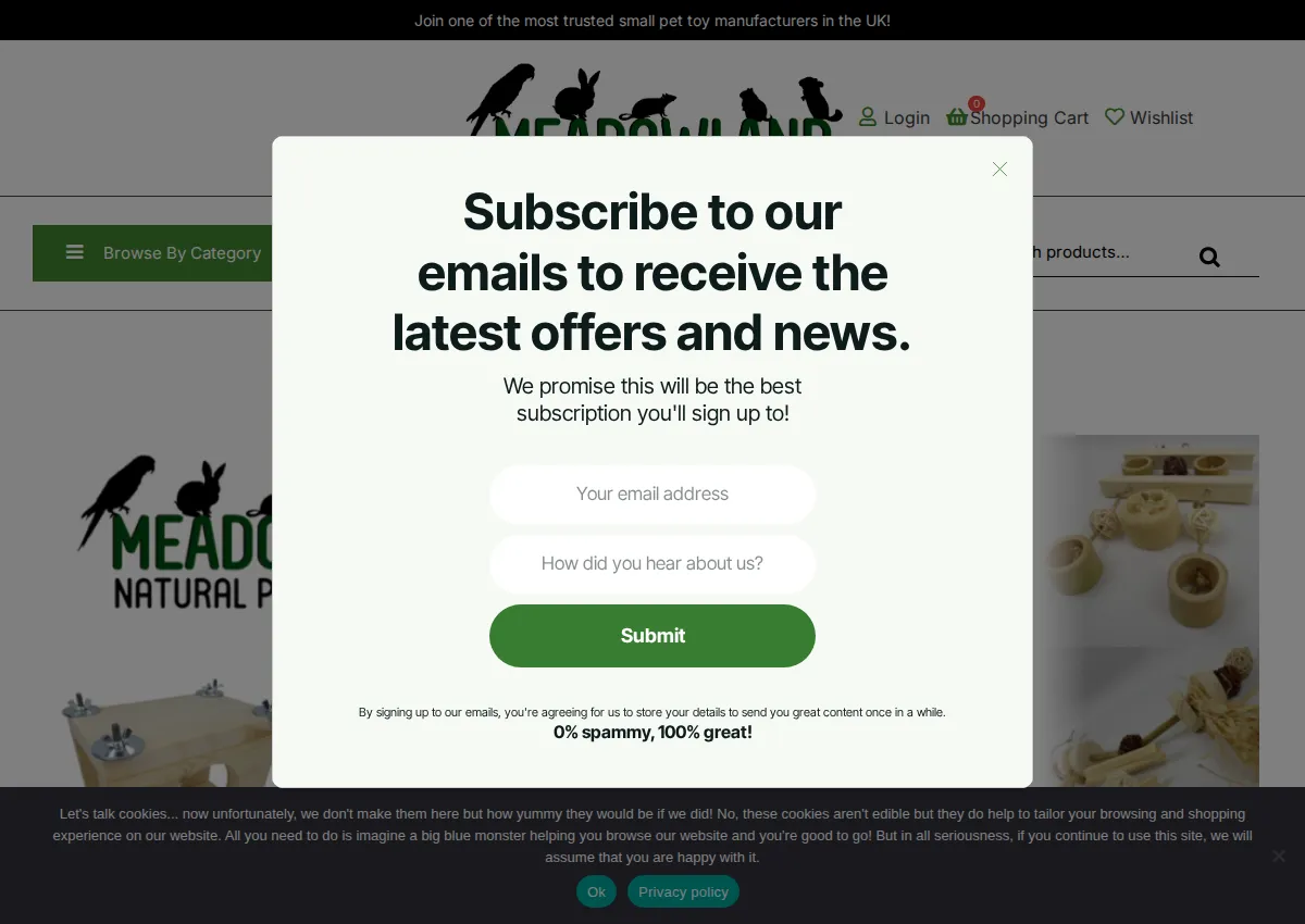 Store homepage