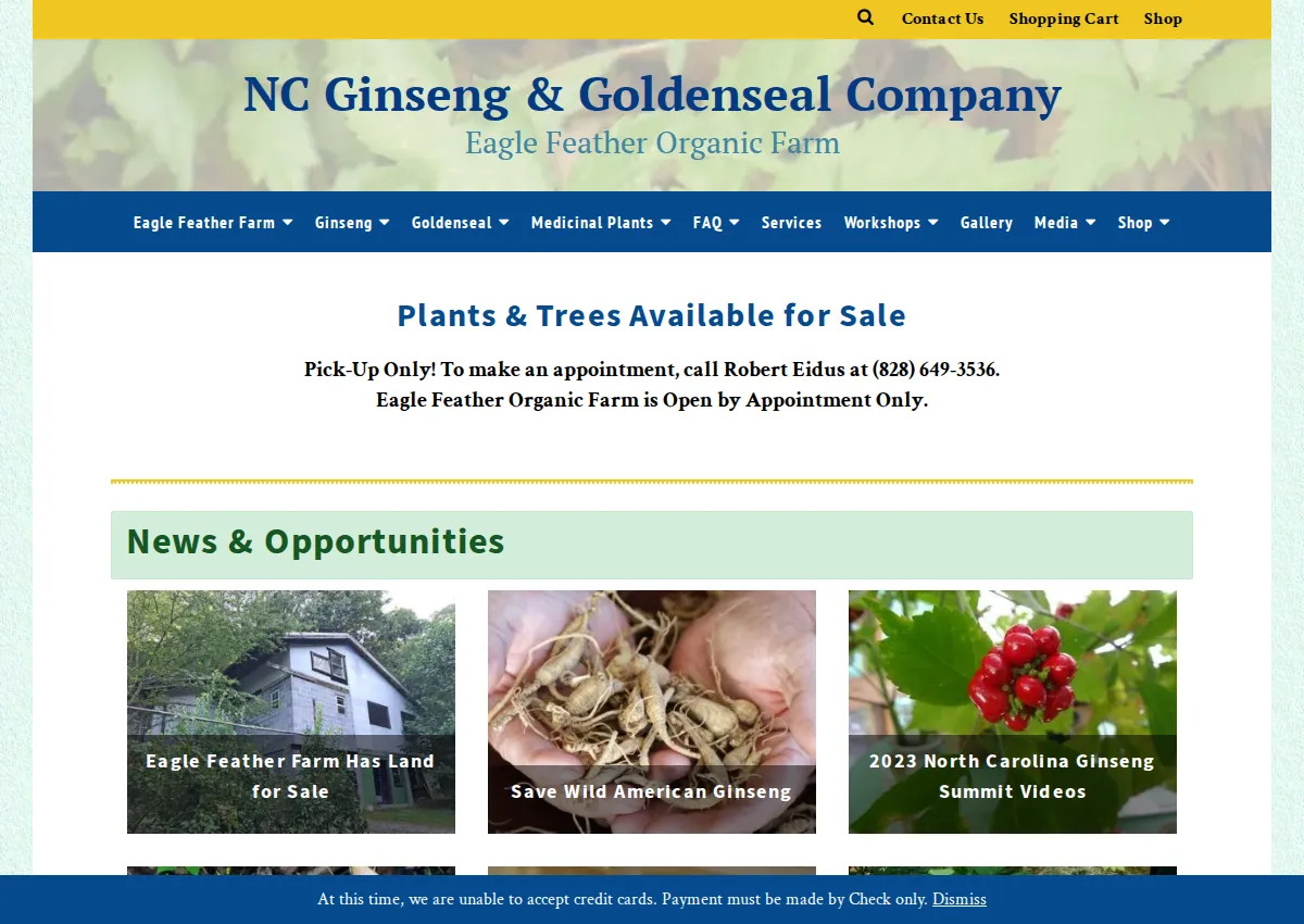 Store homepage
