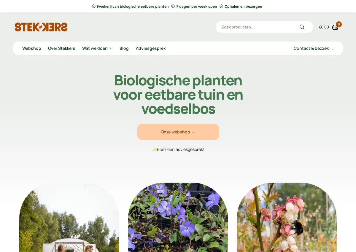 Store homepage