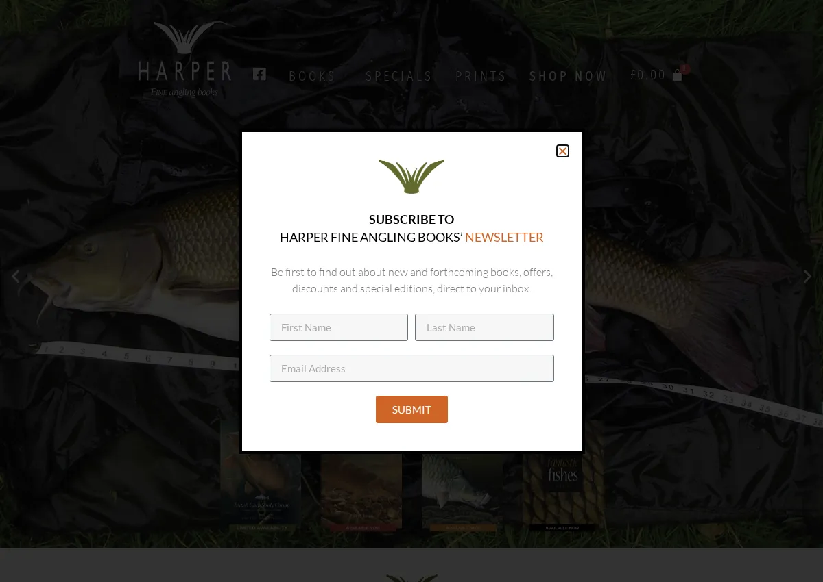 Store homepage