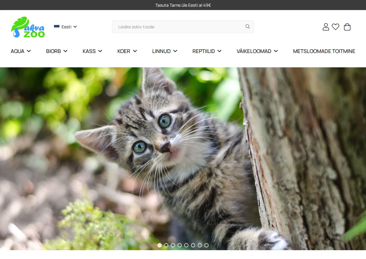 Store homepage