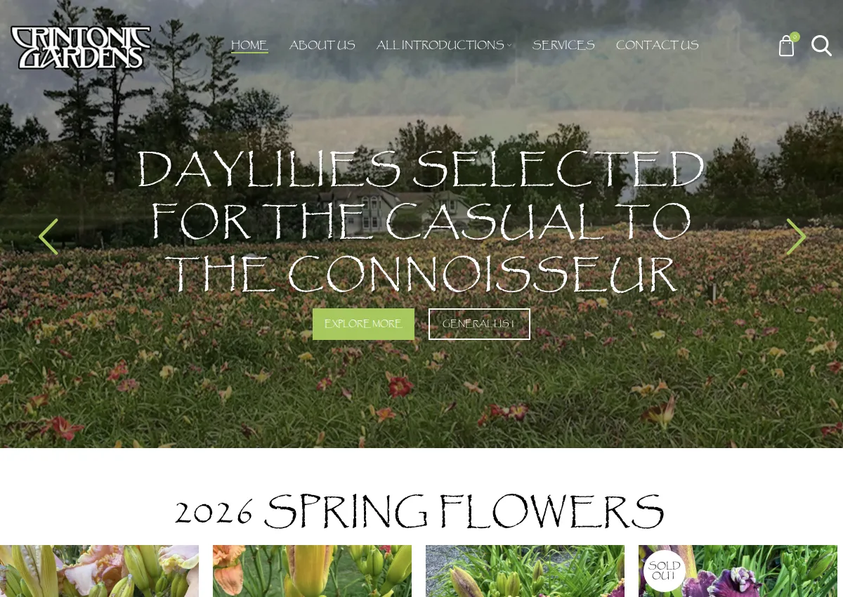 Store homepage