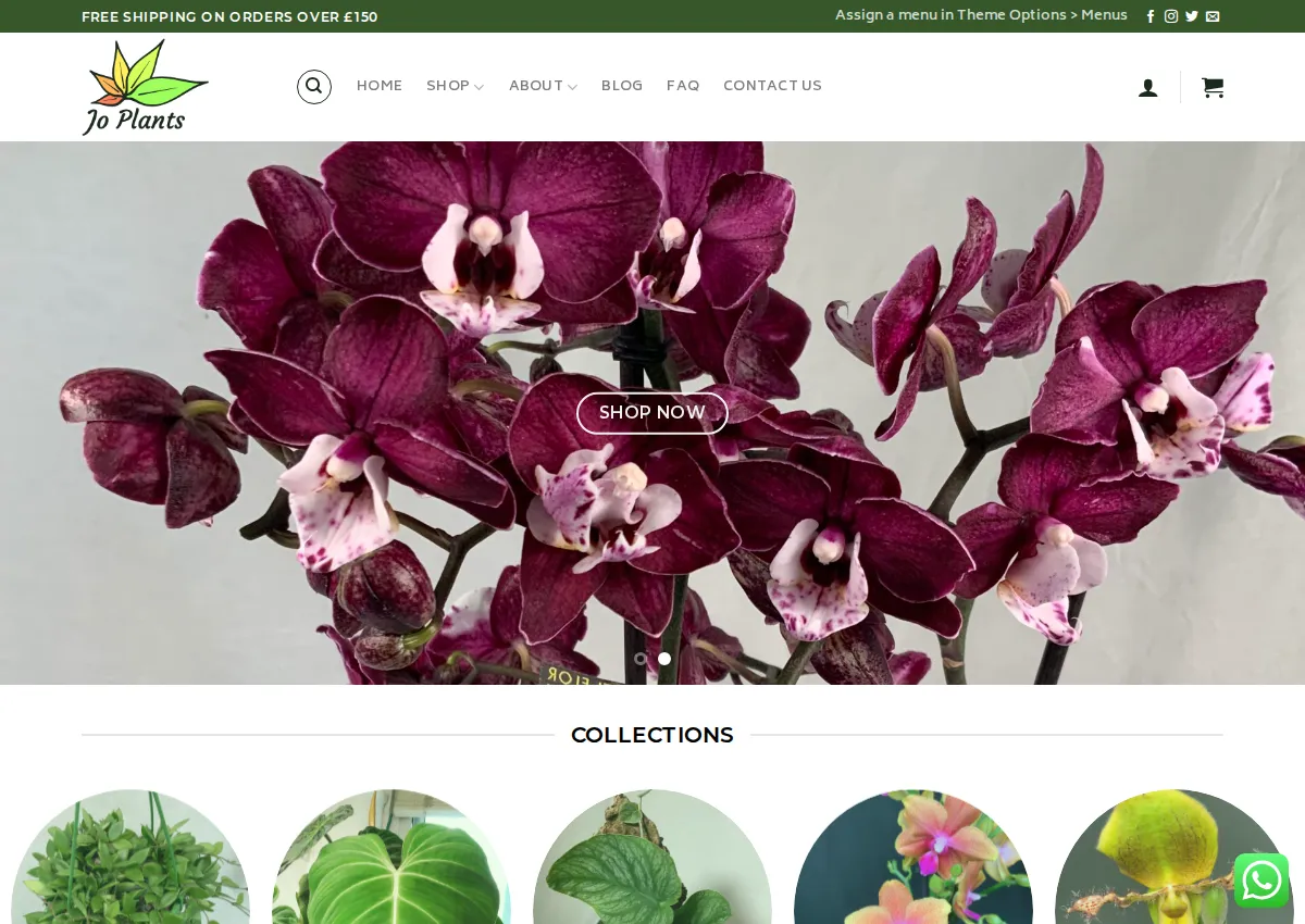Store homepage