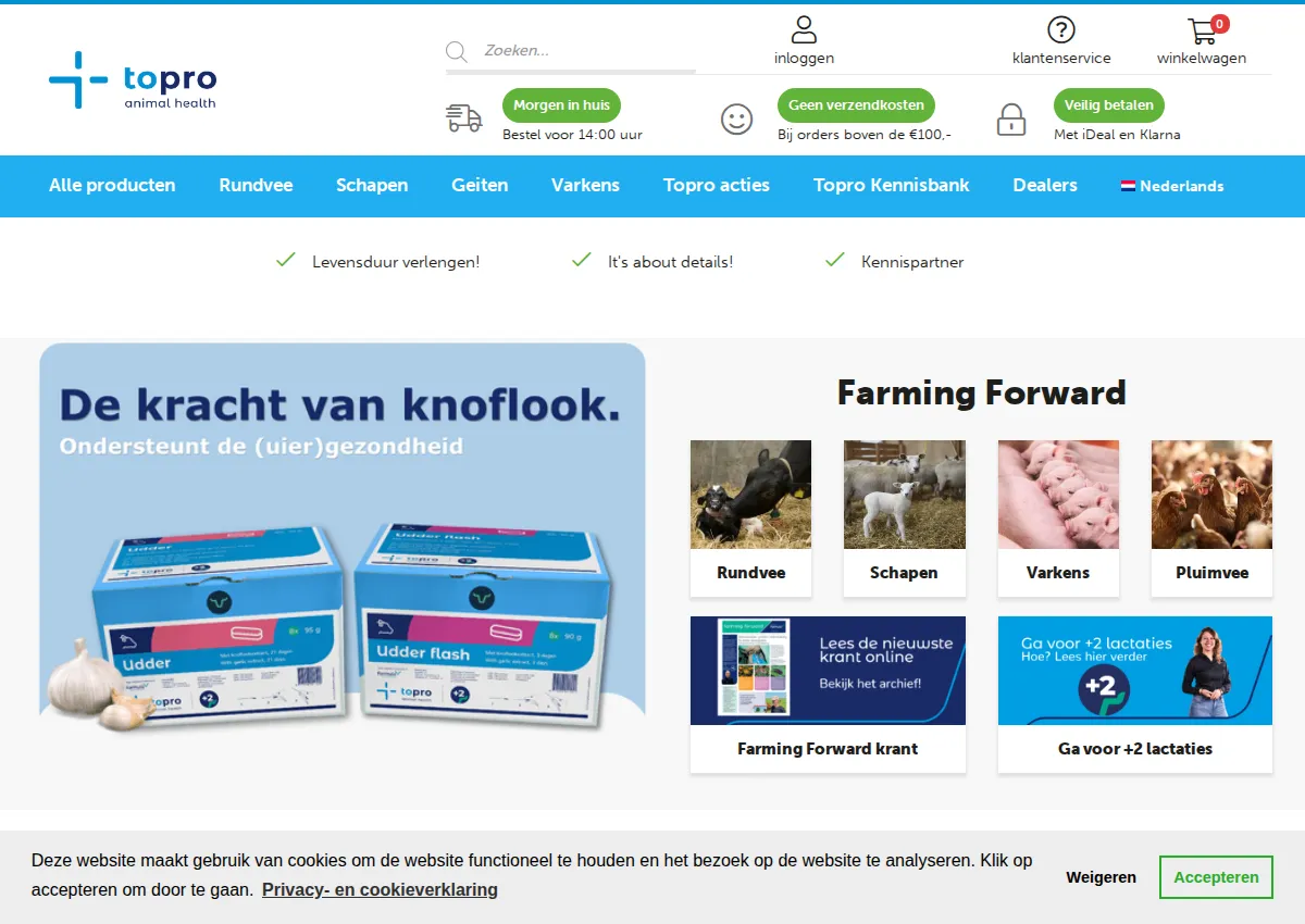 Store homepage