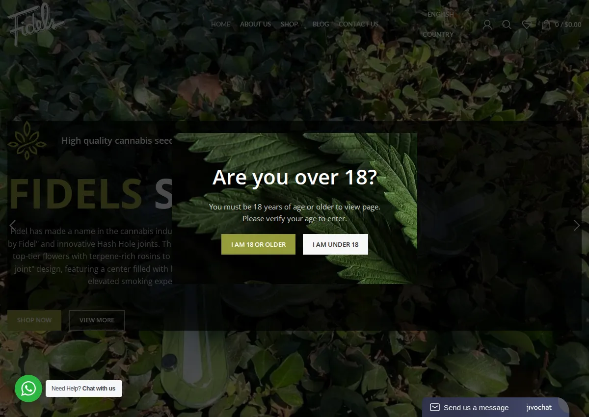 Store homepage