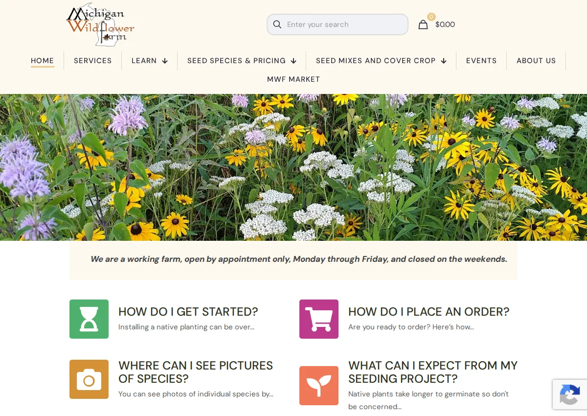 Store homepage