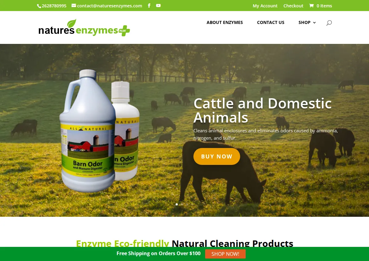 Store homepage