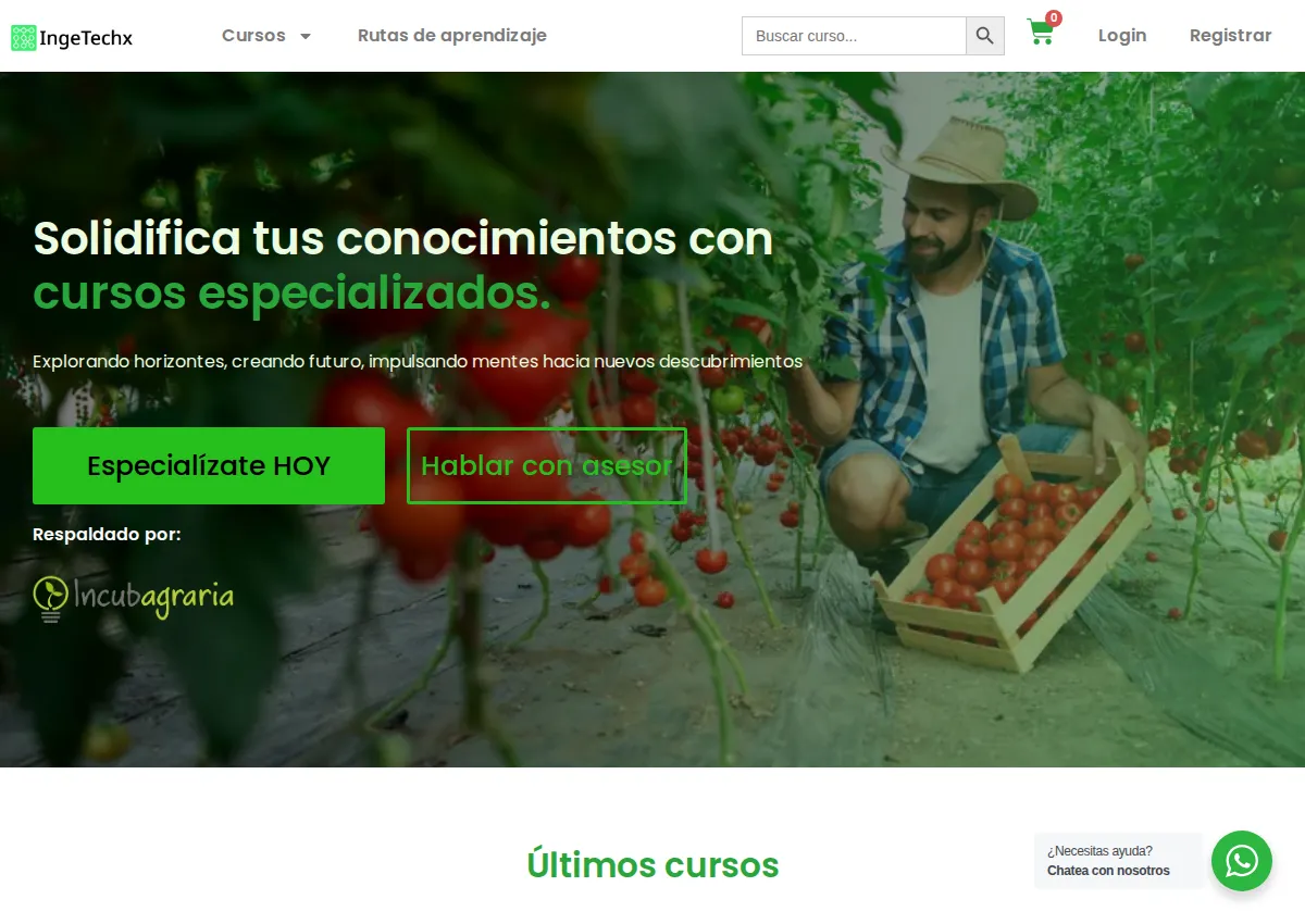 Store homepage