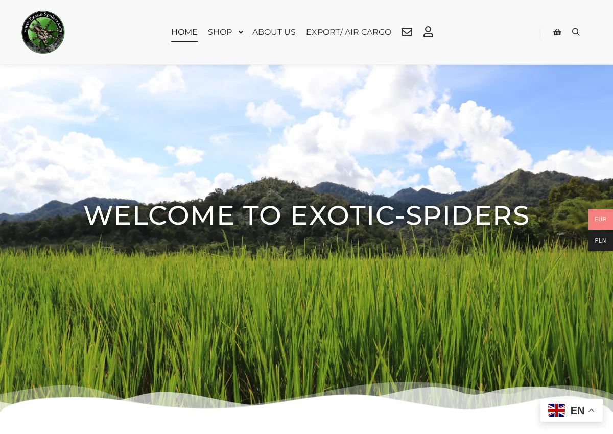 Store homepage