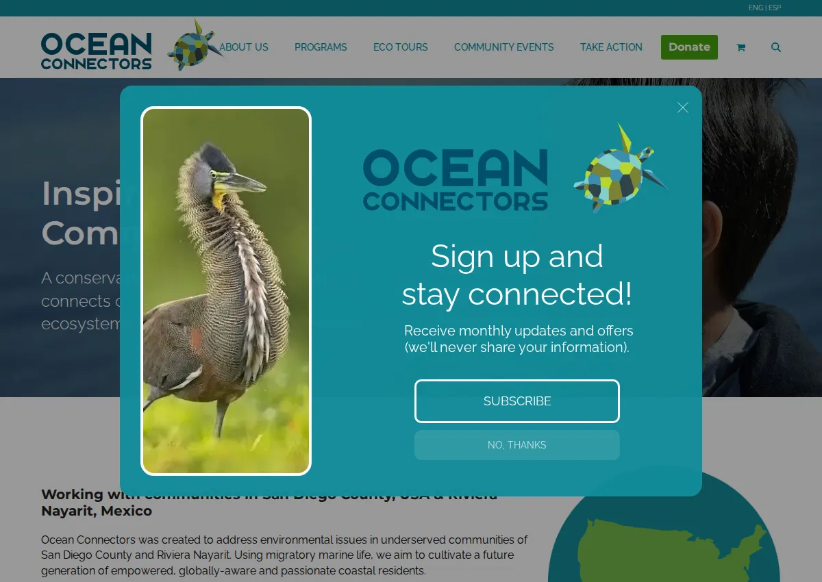 Store homepage
