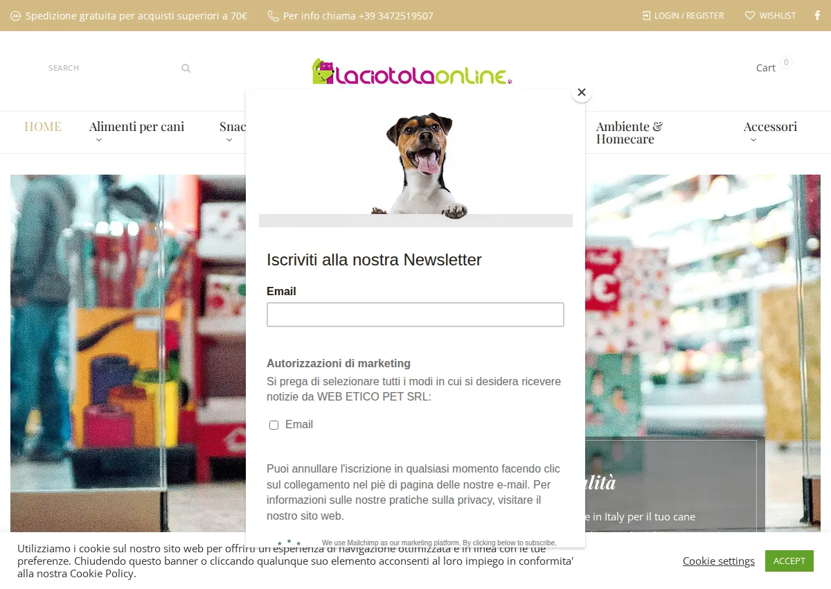Store homepage
