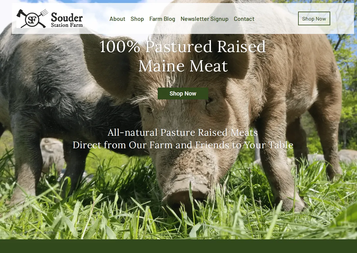 Store homepage