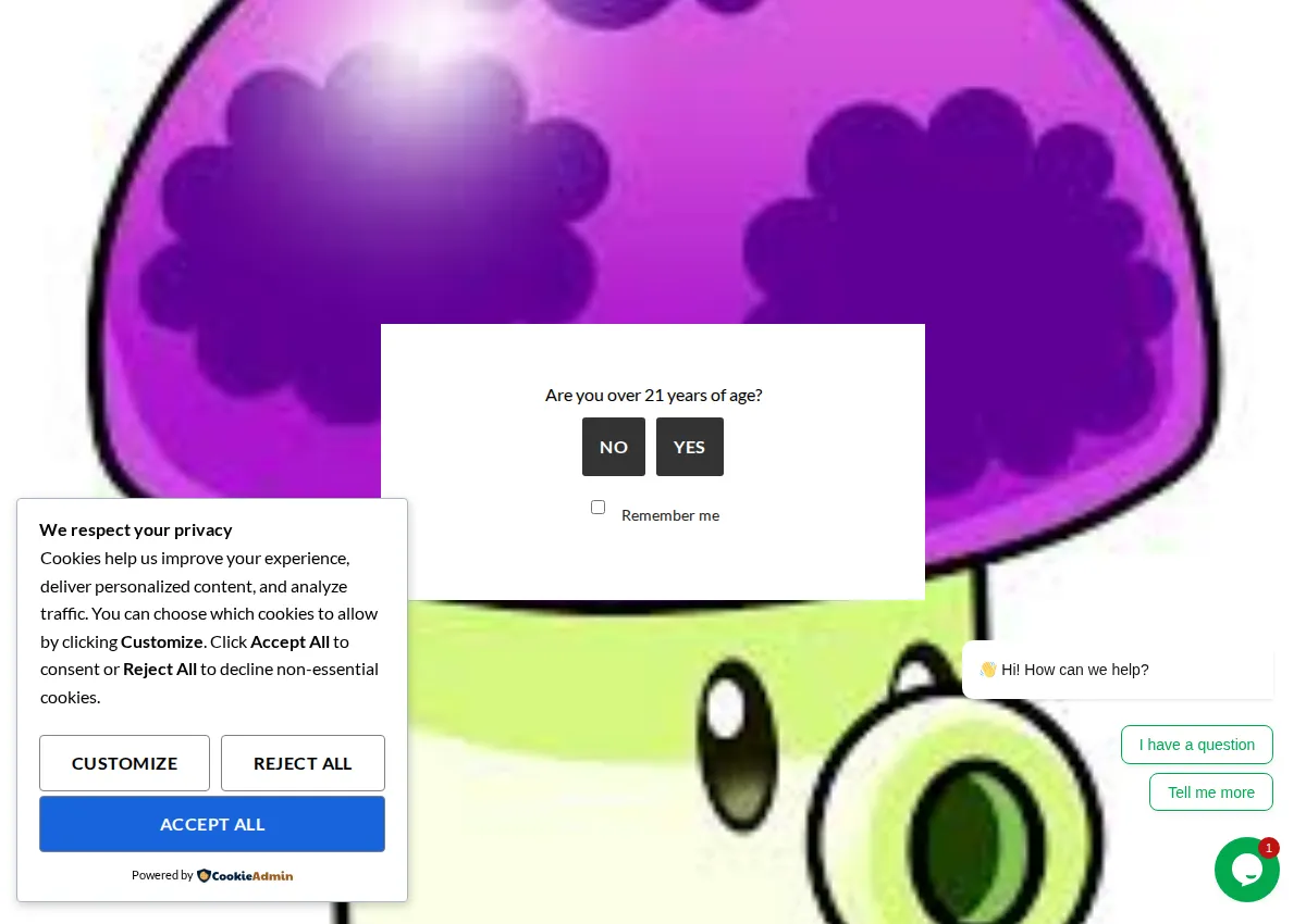 Store homepage
