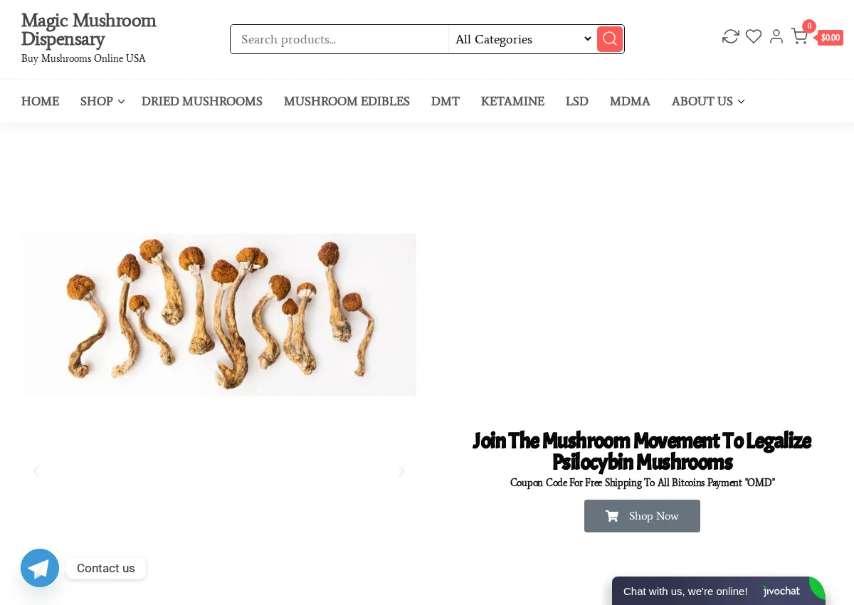Store homepage