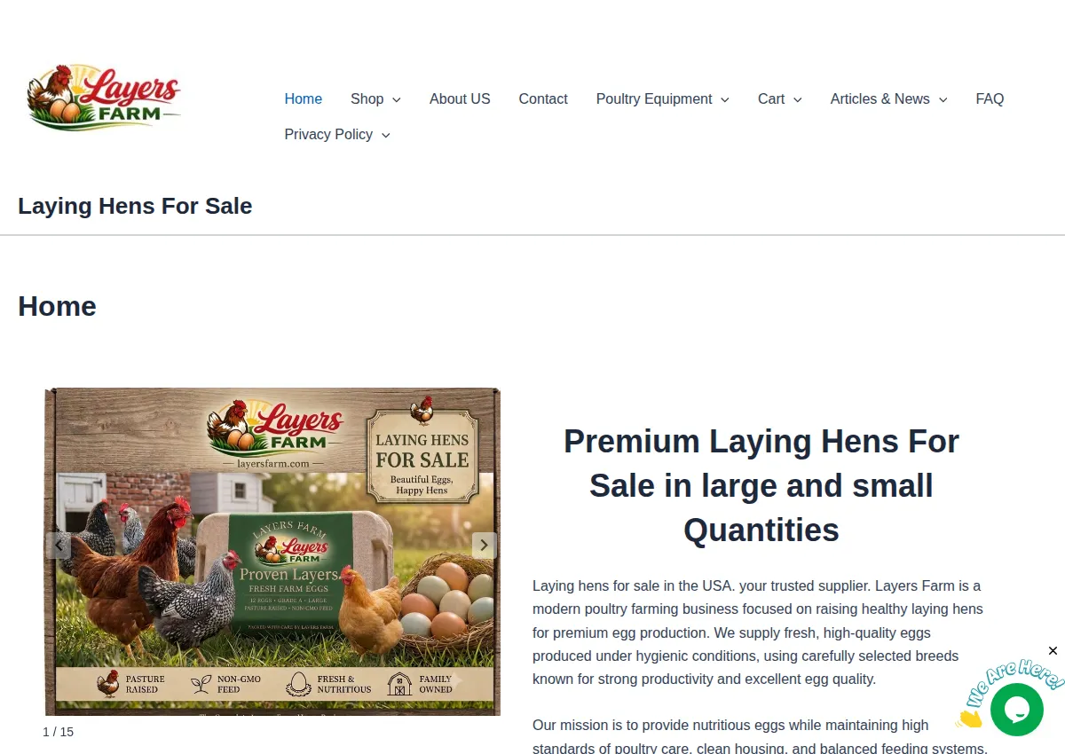 Store homepage