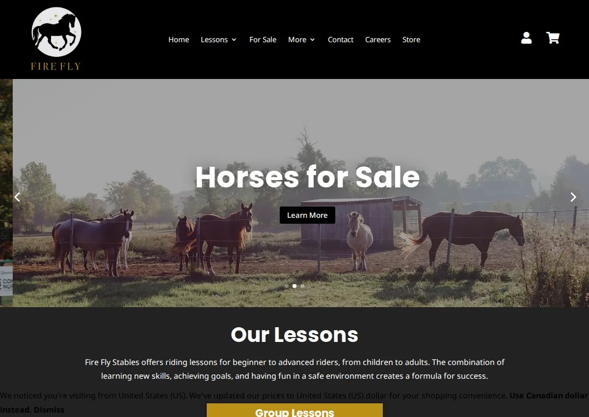 Store homepage