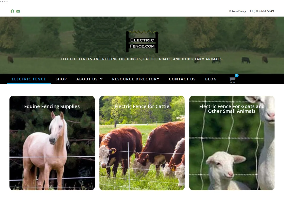 Store homepage