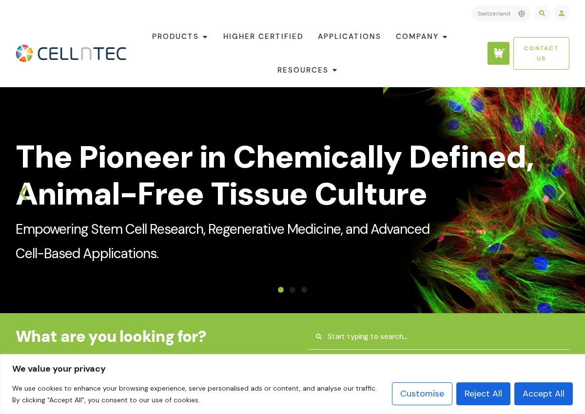 Store homepage