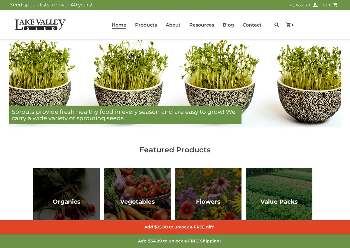 Store homepage