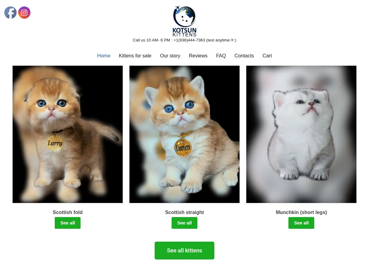 Store homepage