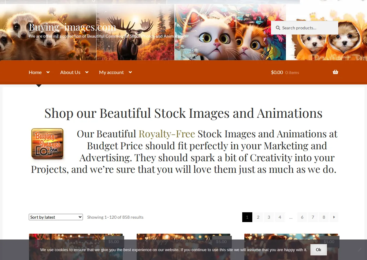 Store homepage