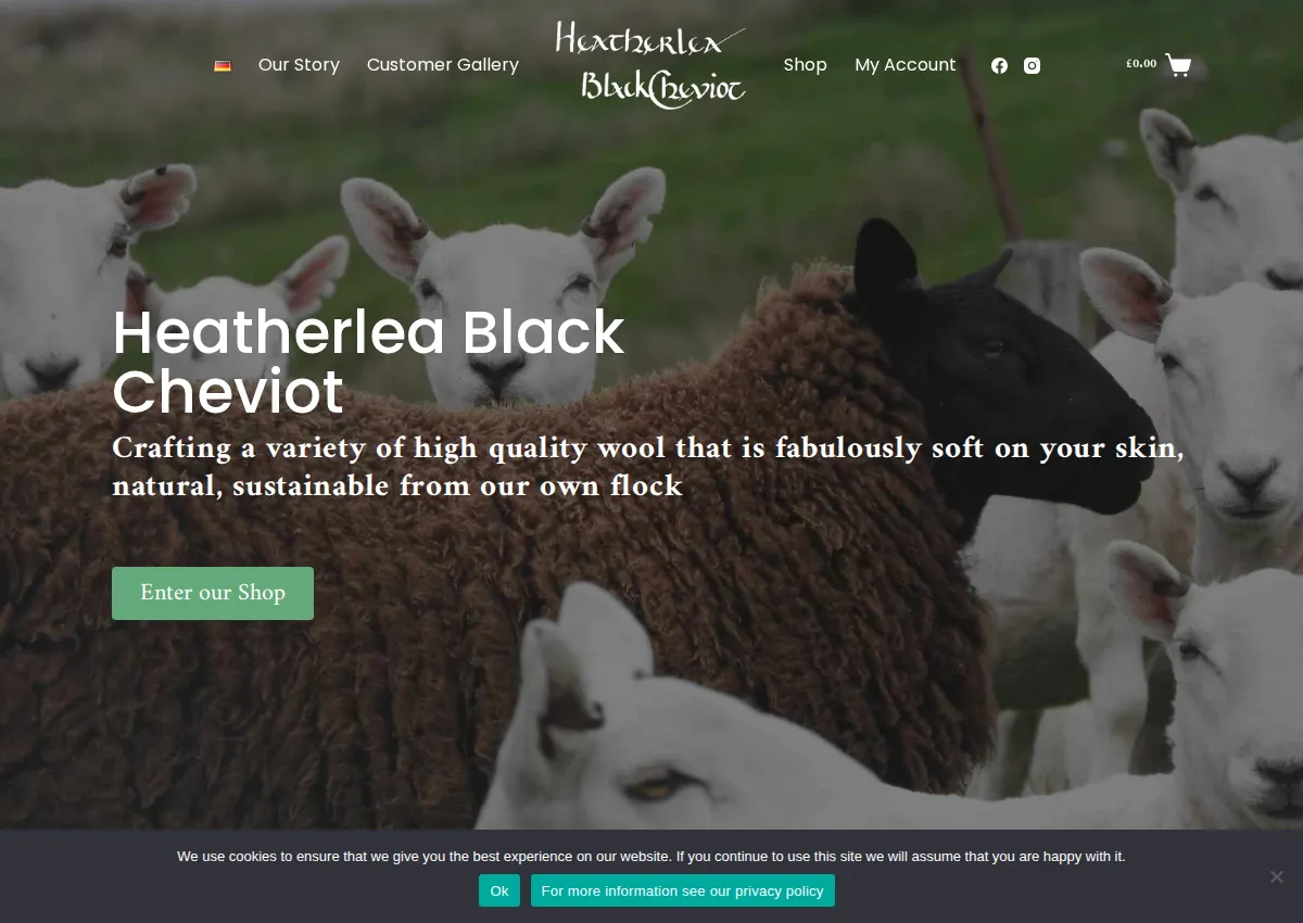 Store homepage