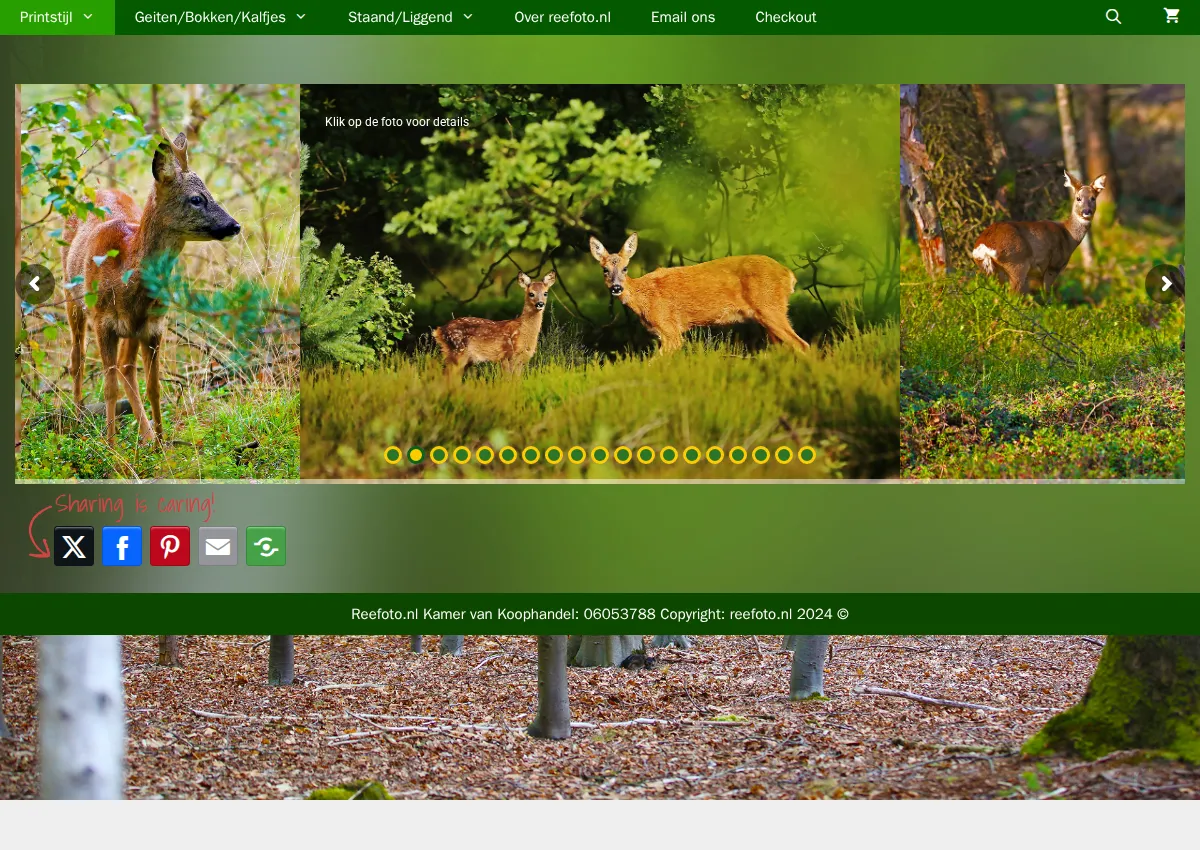 Store homepage