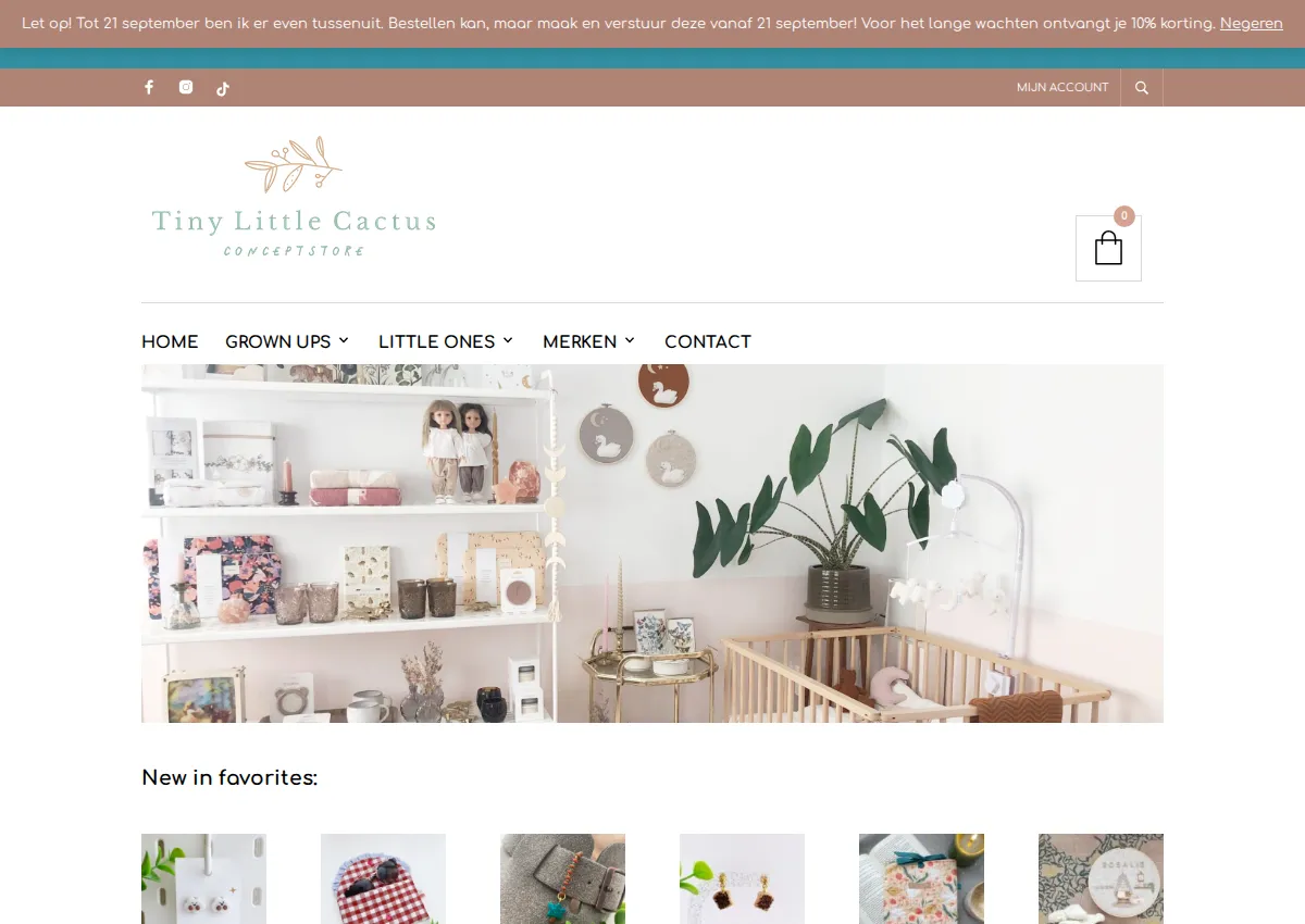 Store homepage