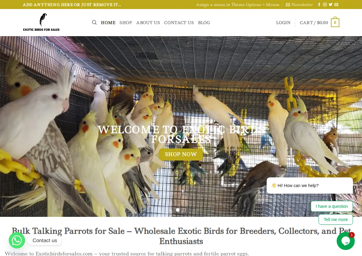 Store homepage