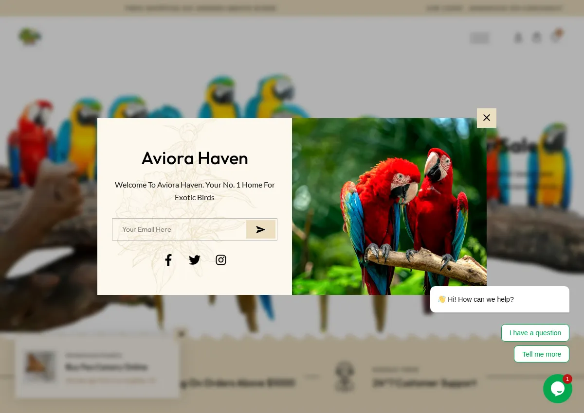 Store homepage