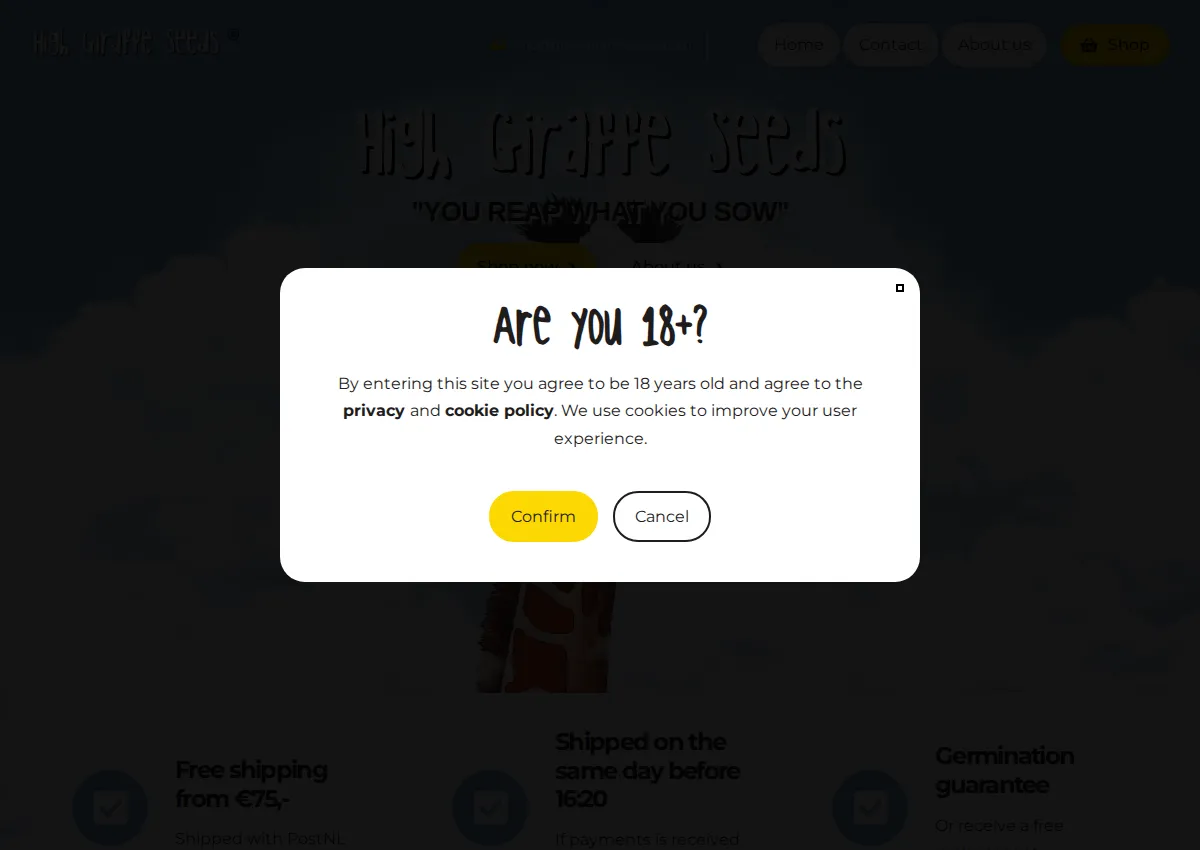 Store homepage