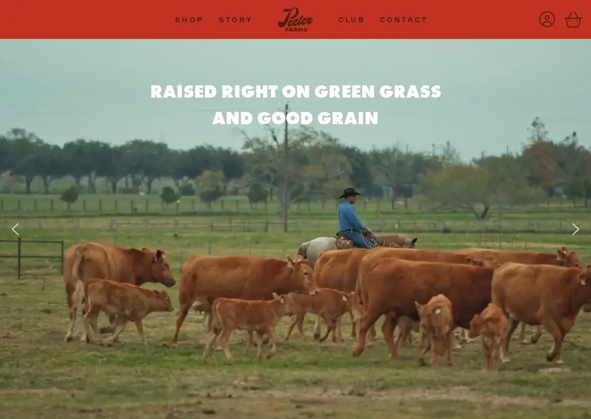 Store homepage