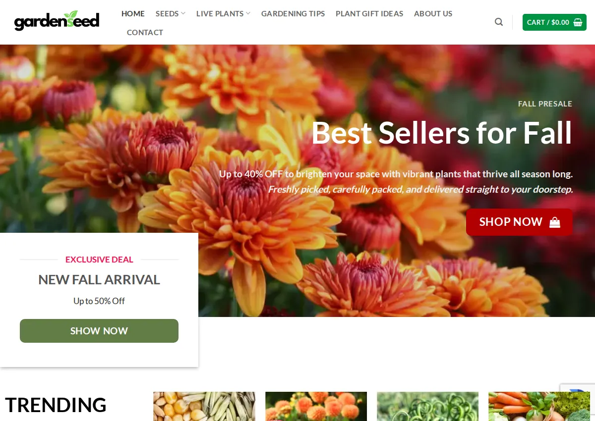 Store homepage