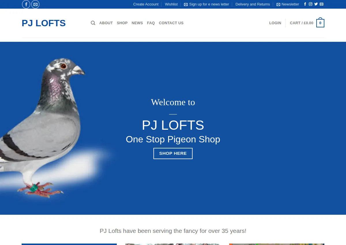 Store homepage
