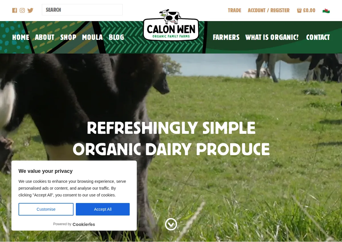 Store homepage