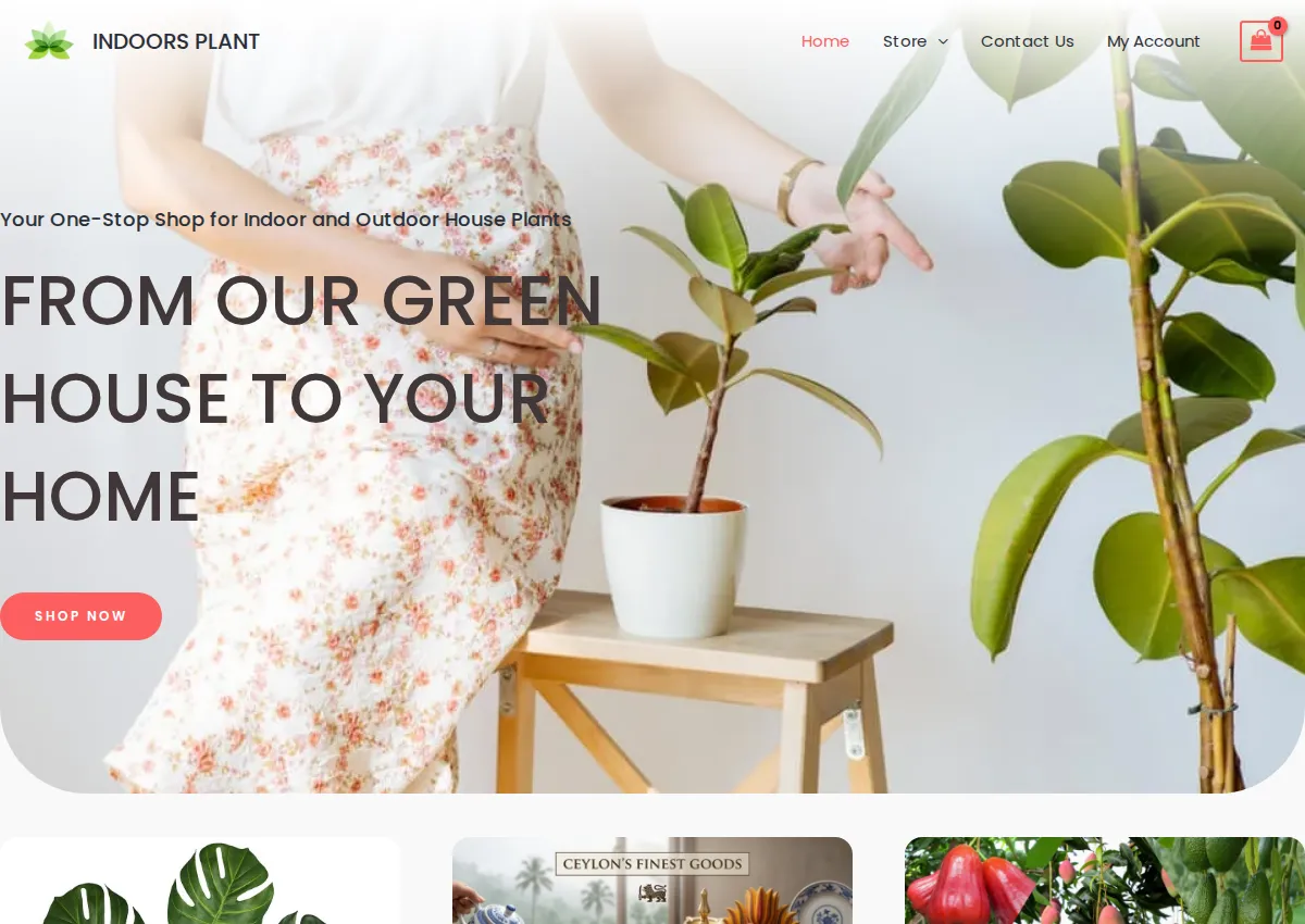 Store homepage