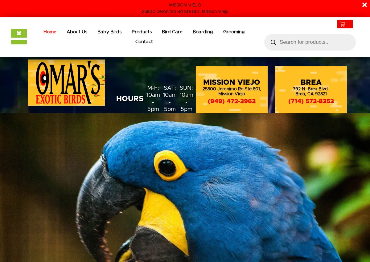 Store homepage