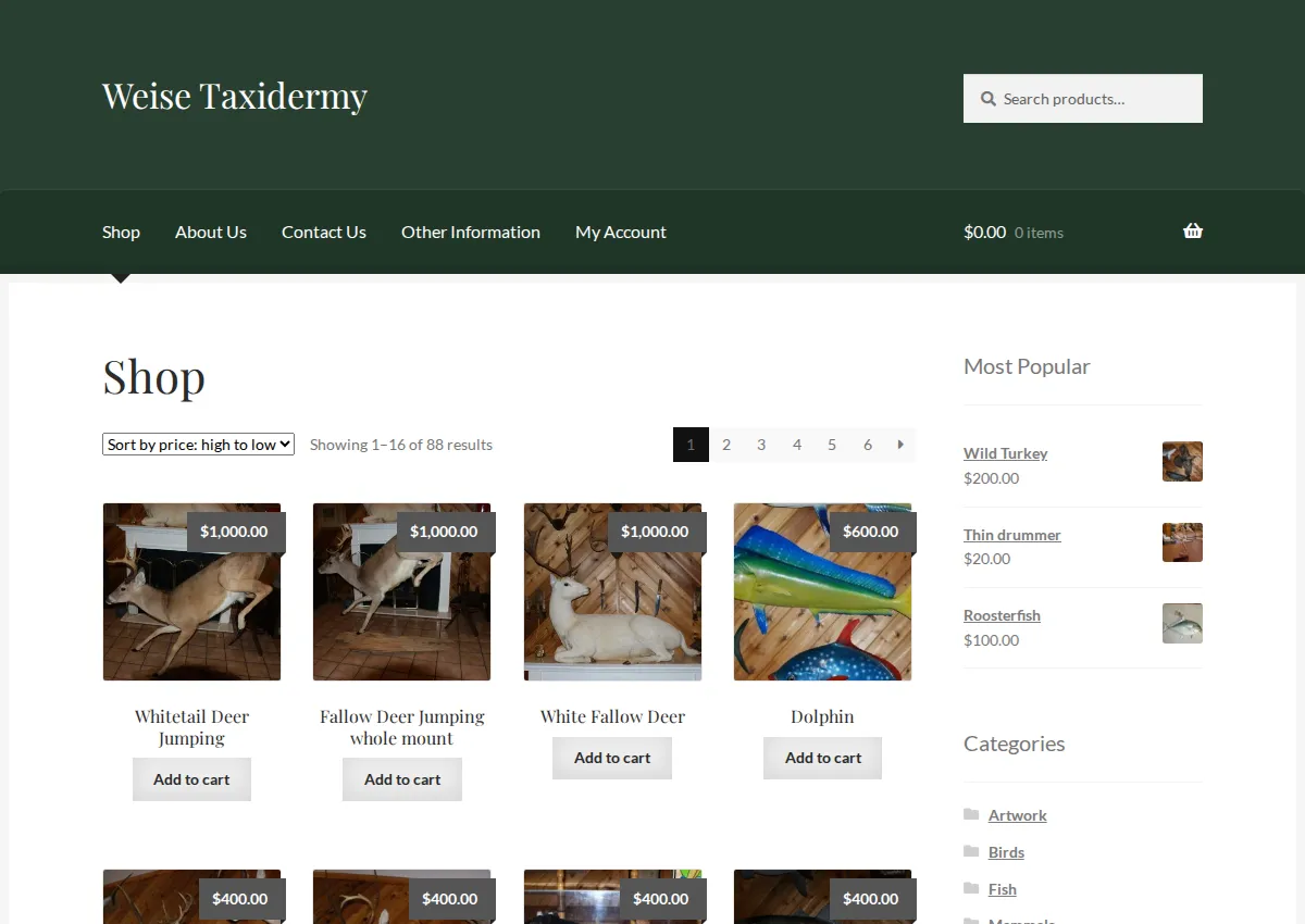 Store homepage